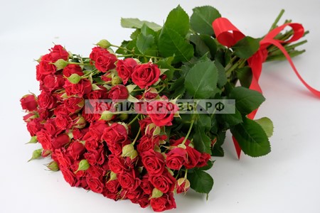 Кустовые розы Мирабель купить в Москве недорого